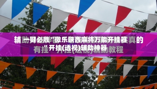一键必胜“微乐陕西麻将万能开挂器”开挂(透视)辅助神器-第3张图片