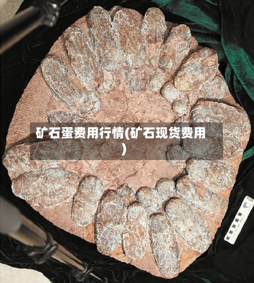矿石蛋费用行情(矿石现货费用)-第2张图片