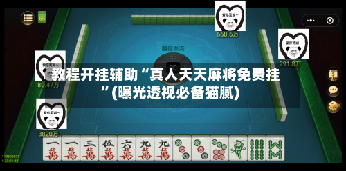 教程开挂辅助“真人天天麻将免费挂	”(曝光透视必备猫腻)-第2张图片