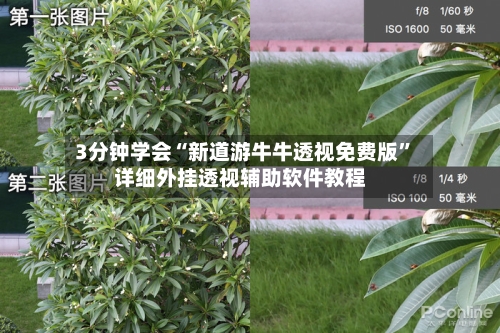 3分钟学会“新道游牛牛透视免费版	”详细外挂透视辅助软件教程-第2张图片