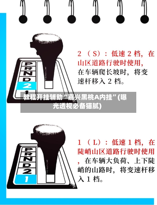 教程开挂辅助“嘉兴黑桃A内挂”(曝光透视必备猫腻)-第2张图片