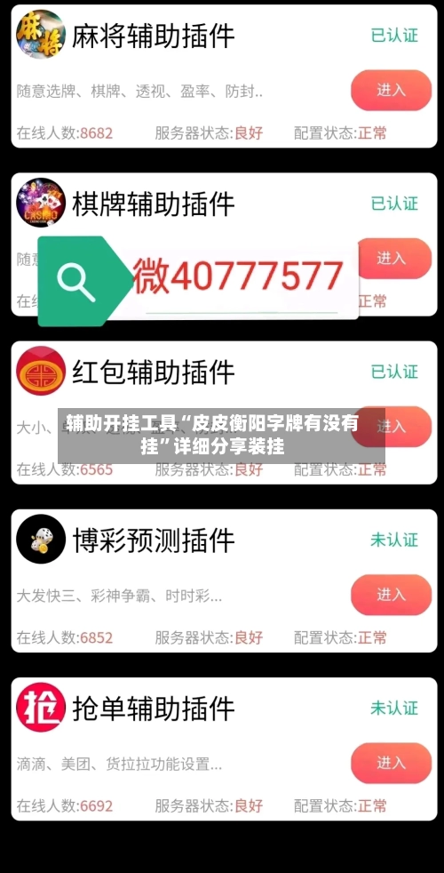 辅助开挂工具“皮皮衡阳字牌有没有挂”详细分享装挂-第2张图片