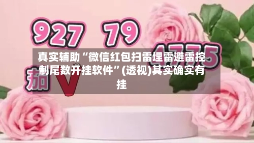 真实辅助“微信红包扫雷埋雷避雷控制尾数开挂软件	”(透视)其实确实有挂-第2张图片