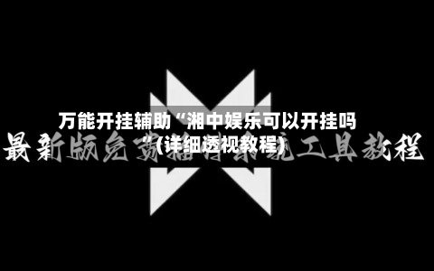 万能开挂辅助“湘中娱乐可以开挂吗”(详细透视教程)-第2张图片
