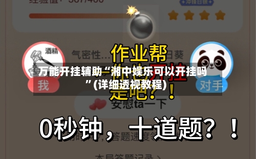 万能开挂辅助“湘中娱乐可以开挂吗”(详细透视教程)-第3张图片