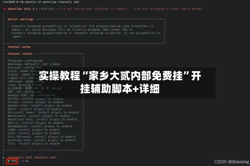 实操教程“家乡大贰内部免费挂”开挂辅助脚本+详细-第3张图片