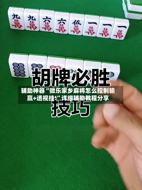 辅助神器“微乐家乡麻将怎么控制输赢+透视挂!”详细辅助教程分享-第3张图片