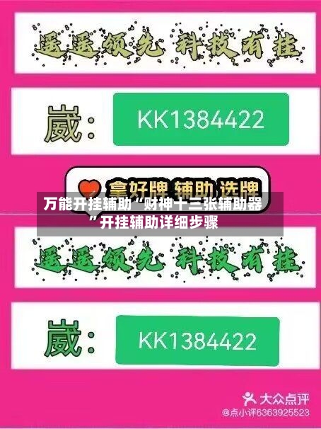 万能开挂辅助“财神十三张辅助器”开挂辅助详细步骤-第2张图片