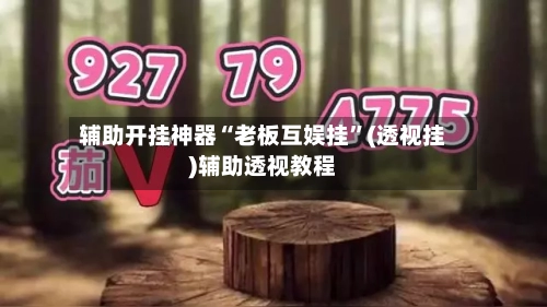 辅助开挂神器“老板互娱挂”(透视挂)辅助透视教程-第2张图片