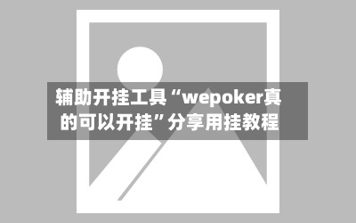 辅助开挂工具“wepoker真的可以开挂”分享用挂教程-第3张图片