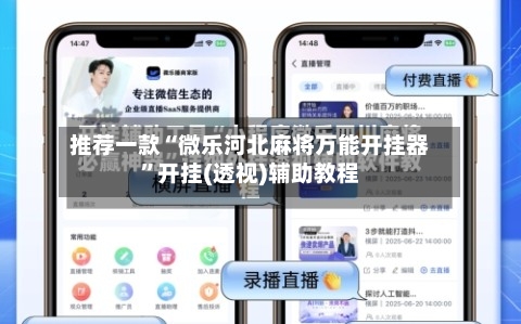 推荐一款“微乐河北麻将万能开挂器”开挂(透视)辅助教程-第2张图片