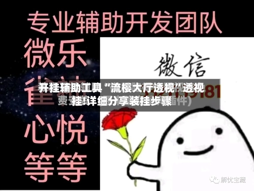 开挂辅助工具“流樱大厅透视”透视挂!详细分享装挂步骤-第2张图片