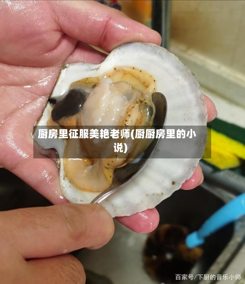 厨房里征服美艳老师(厨厨房里的小说)