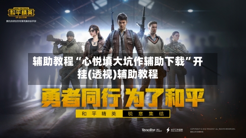 辅助教程“心悦填大坑作辅助下载”开挂(透视)辅助教程-第2张图片