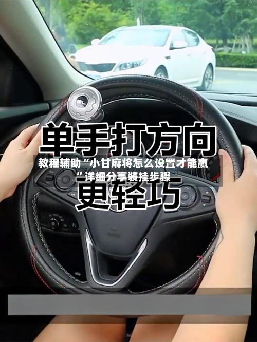 教程辅助“小甘麻将怎么设置才能赢”详细分享装挂步骤-第3张图片