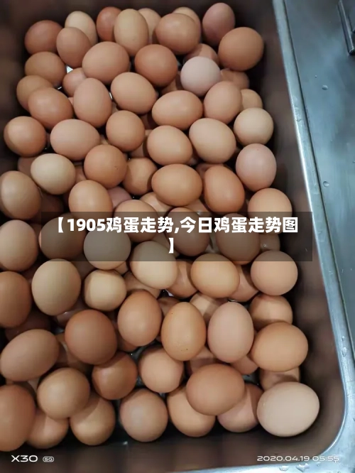 【1905鸡蛋走势,今日鸡蛋走势图】
