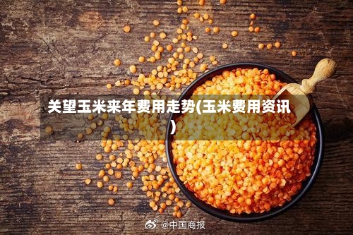 关望玉米来年费用走势(玉米费用资讯)