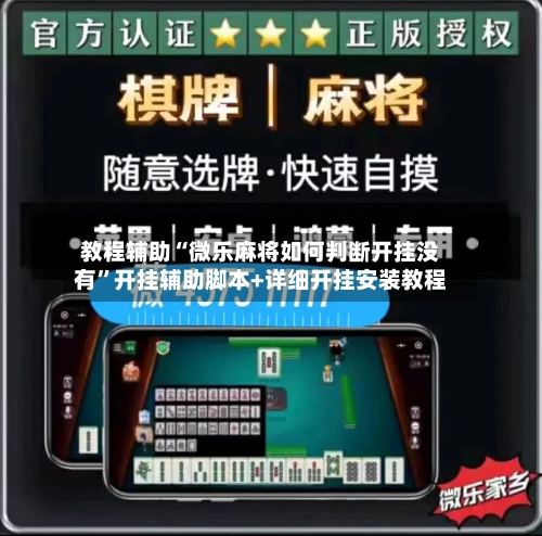 教程辅助“微乐麻将如何判断开挂没有”开挂辅助脚本+详细开挂安装教程-第3张图片