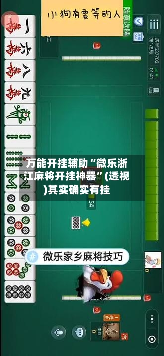 万能开挂辅助“微乐浙江麻将开挂神器”(透视)其实确实有挂-第3张图片