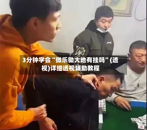 3分钟学会“微乐锄大地有挂吗”(透视)详细透视辅助教程-第2张图片
