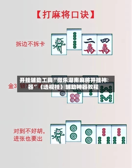 开挂辅助工具“微乐湖南麻将开挂神器”（透视挂）辅助神器教程