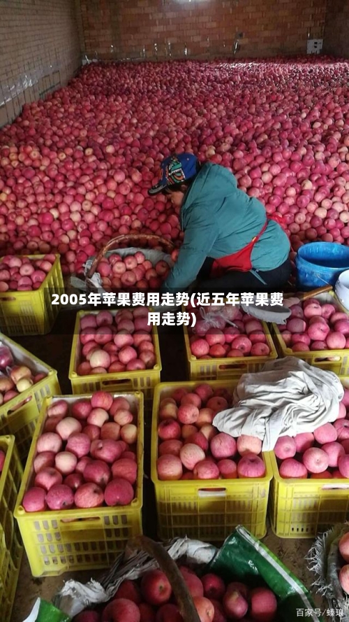 2005年苹果费用走势(近五年苹果费用走势)