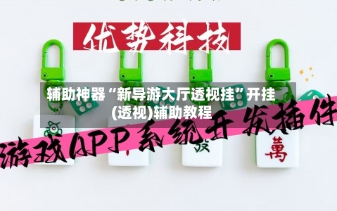 辅助神器“新导游大厅透视挂”开挂(透视)辅助教程-第3张图片