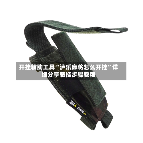 开挂辅助工具“泸乐麻将怎么开挂	”详细分享装挂步骤教程-第2张图片