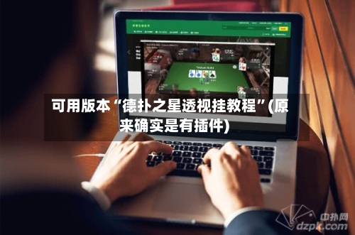 可用版本“德扑之星透视挂教程”(原来确实是有插件)-第3张图片