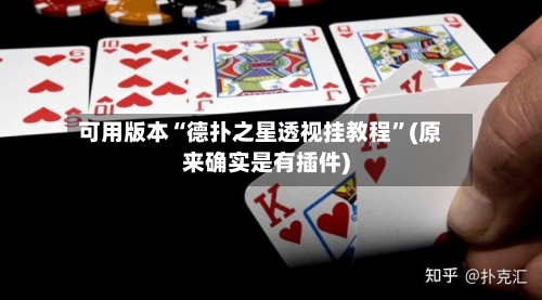 可用版本“德扑之星透视挂教程”(原来确实是有插件)-第2张图片