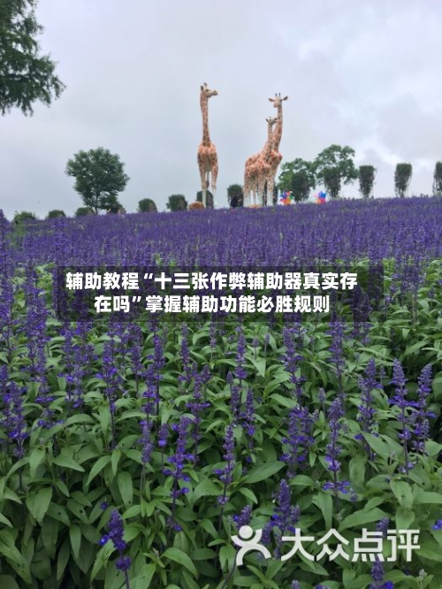 辅助教程“十三张作弊辅助器真实存在吗	”掌握辅助功能必胜规则-第2张图片