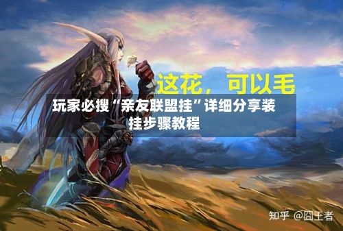玩家必搜“亲友联盟挂”详细分享装挂步骤教程-第2张图片