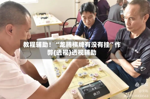 教程辅助！“龙腾棋牌有没有挂”作弊(透视)透视辅助-第2张图片