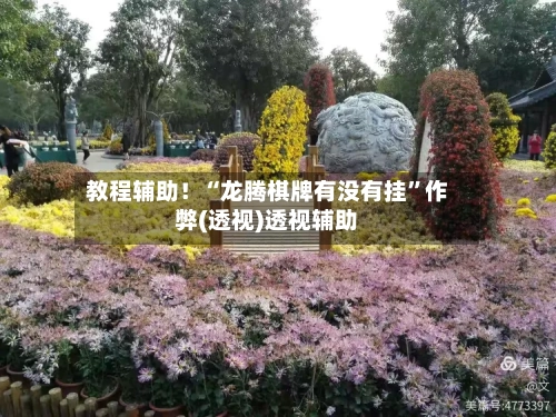 教程辅助！“龙腾棋牌有没有挂”作弊(透视)透视辅助-第3张图片