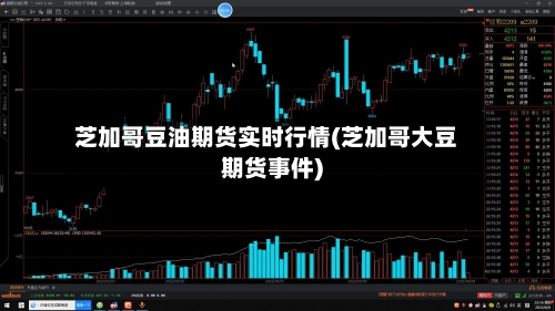芝加哥豆油期货实时行情(芝加哥大豆期货事件)-第2张图片