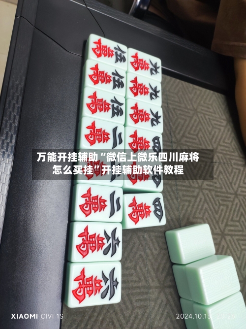 万能开挂辅助“微信上微乐四川麻将怎么买挂”开挂辅助软件教程-第2张图片