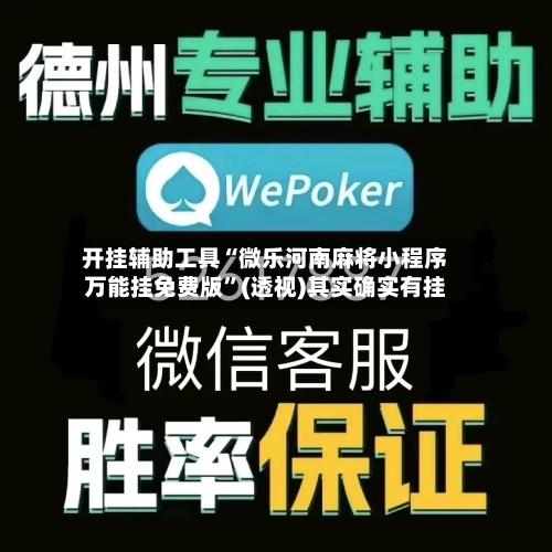 开挂辅助工具“微乐河南麻将小程序万能挂免费版”(透视)其实确实有挂-第3张图片
