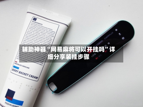 辅助神器“网易麻将可以开挂吗”详细分享装挂步骤-第3张图片