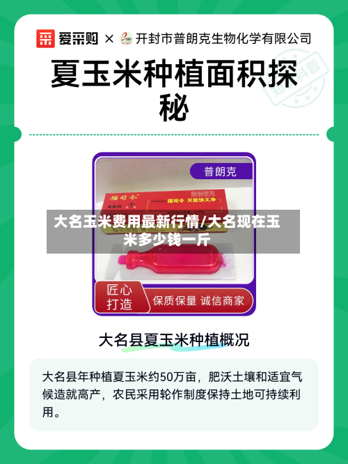 大名玉米费用最新行情/大名现在玉米多少钱一斤