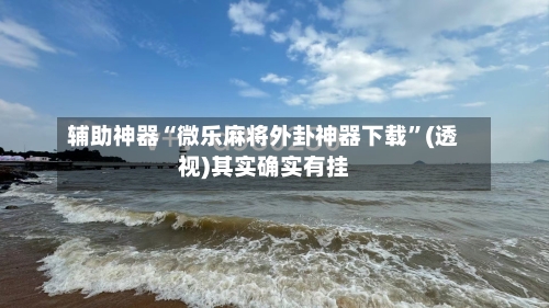 辅助神器“微乐麻将外卦神器下载”(透视)其实确实有挂-第3张图片