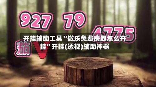 开挂辅助工具“微乐免费房间怎么开挂”开挂(透视)辅助神器-第2张图片