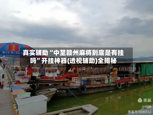 真实辅助“中至赣州麻将到底是有挂吗”开挂神器{透视辅助}全揭秘-第3张图片