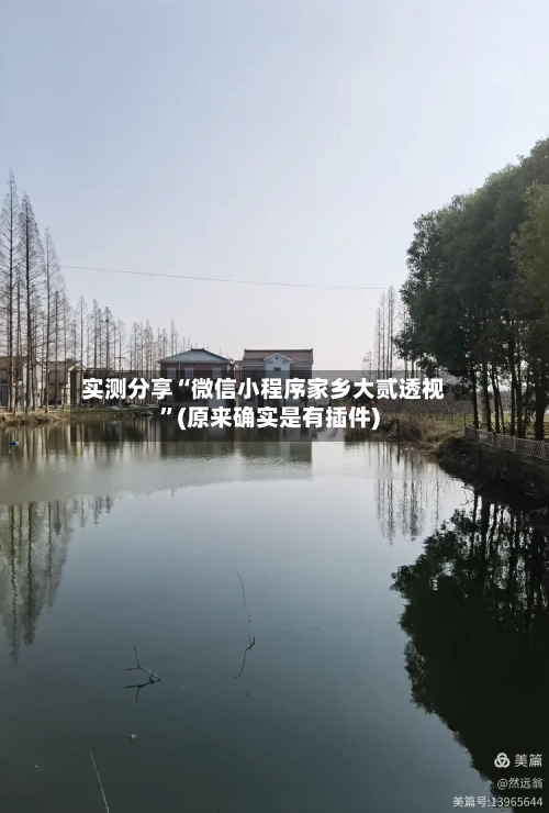 实测分享“微信小程序家乡大贰透视”(原来确实是有插件)-第3张图片