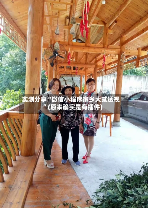 实测分享“微信小程序家乡大贰透视”(原来确实是有插件)-第2张图片