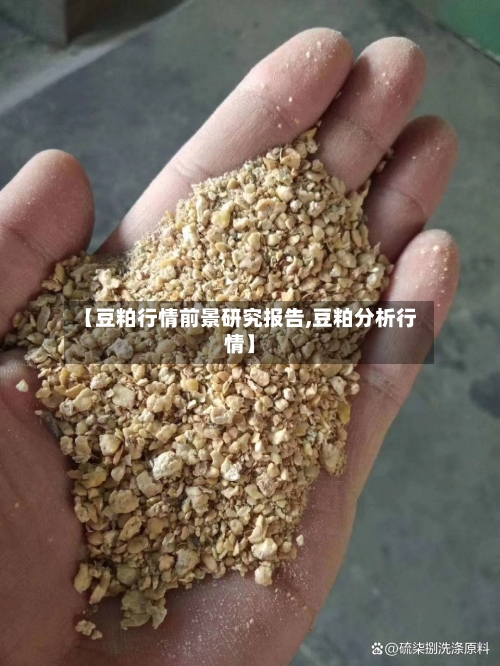 【豆粕行情前景研究报告,豆粕分析行情】-第3张图片