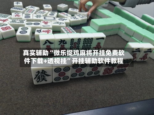 真实辅助“微乐捉鸡麻将开挂免费软件下载+透视挂”开挂辅助软件教程-第3张图片