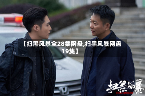 【扫黑风暴全28集网盘,扫黑风暴网盘19集】