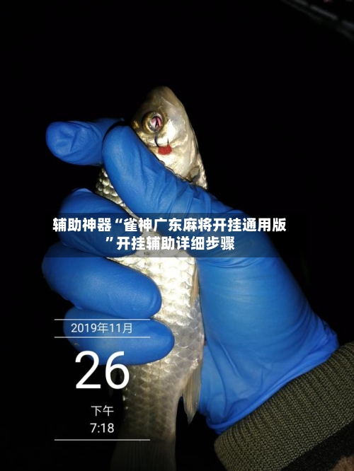 辅助神器“雀神广东麻将开挂通用版”开挂辅助详细步骤-第2张图片