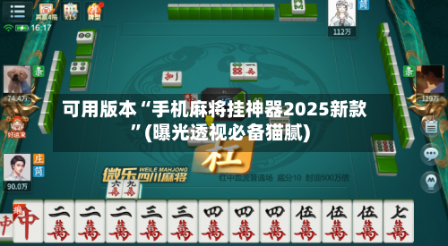 可用版本“手机麻将挂神器2025新款”(曝光透视必备猫腻)-第3张图片