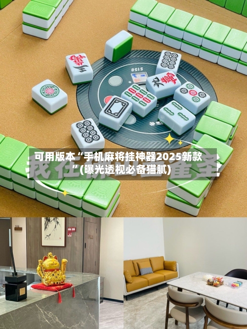 可用版本“手机麻将挂神器2025新款”(曝光透视必备猫腻)-第2张图片